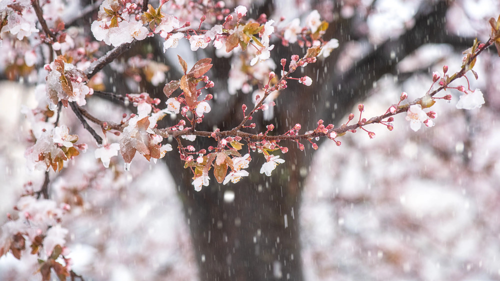 Туман и весеннее тепло. Какой будет погода в Казахстане в среду, 18 марта