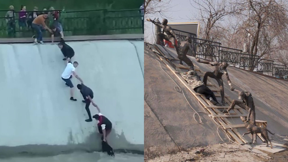 Трогательная история спасения собаки на Сайране получила новую жизнь