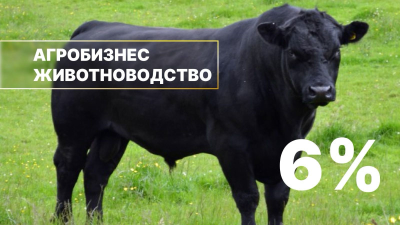 Фото: АО "Аграрная кредитная корпорация".