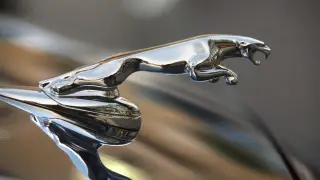 Знаменитый бренд авто отказался от ДВС: в жертву принесли самые популярные модели