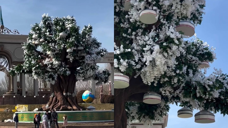 Кадры из видео