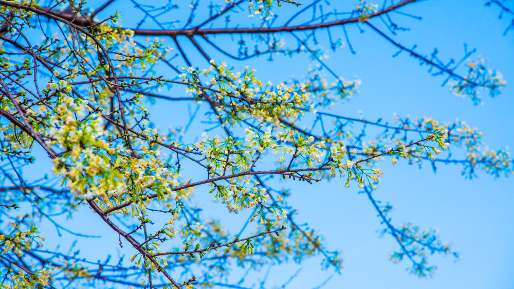От −5 до +28: конец марта удивит казахстанцев