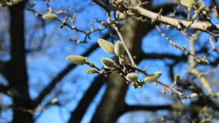 Какой будет погода 28, 29, 30 марта в Астане и Алматы