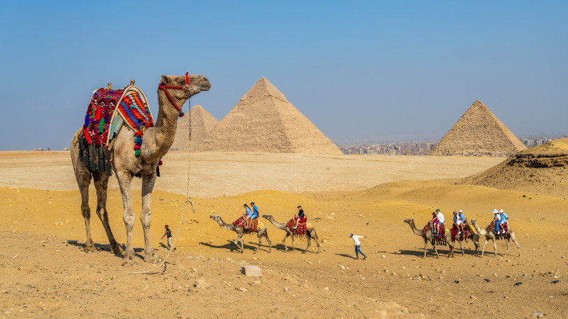 Фото:depositphotos.com/ steveheap