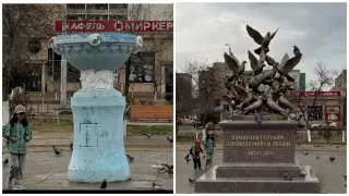 Жители Актау предлагают поставить в городе памятник голубям