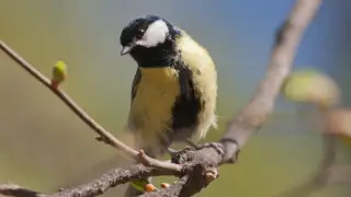 Какая погода ждёт Астану и Алматы 1, 2, 3 апреля