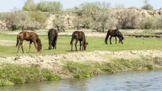 Гроза и +29 - какой будет погода в Астане и Алматы 2, 3, 4 апреля