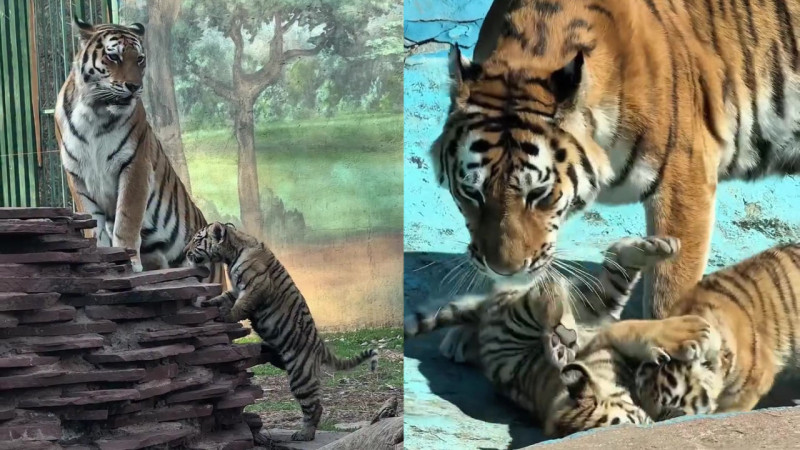 Кадры из видео