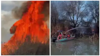 В Кызылорде  в крупном пожаре горели сухостой, деревья и кустарники: виновник установлен