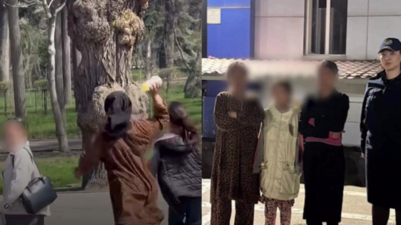 Кадры из видео