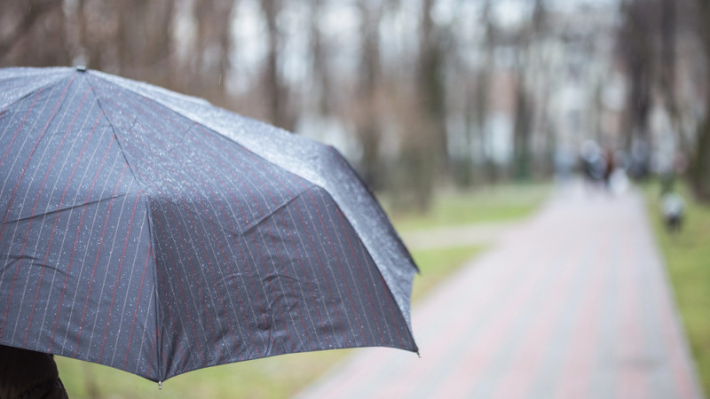 Фото:depositphotos.com