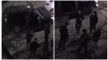 Устроили ночные танцы: в полиции ответили на жалобы жителей Семея