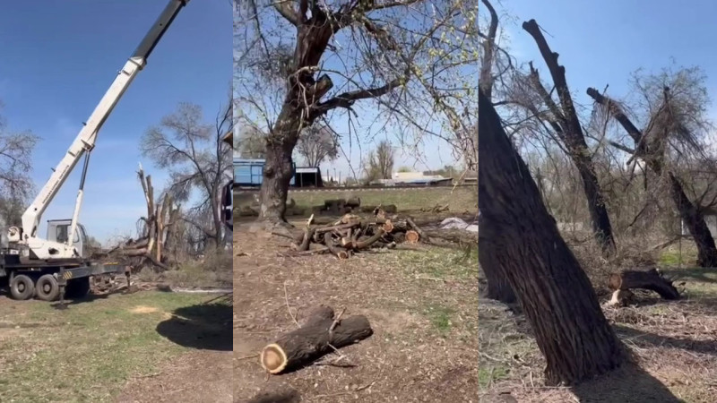 Кадры из видео