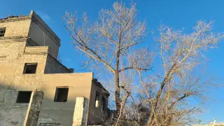 Попытка спасти кота стоила жизни павлодарцу