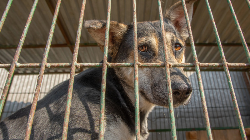 Фото:depositphotos.com