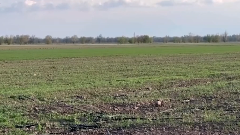 Фермеры в Жамбылской области остались без поливной воды