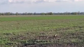 Фермеры в Жамбылской области остались без поливной воды