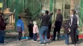 В Семее нашли мужчин, кидавших камни в вольер со львами