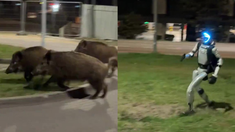 Кадры из видео