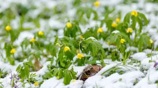 похолодание в Астане