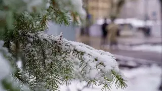 Дождь, гроза, сильный ветер: штормовое предупреждение объявлено по всему Казахстану