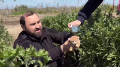 Репутационная катастрофа: против депутата массово ополчились из-за конфликта с блогером