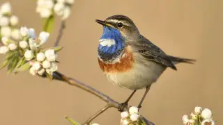 В Астану вернётся тепло, Алматы накроют ливни - прогноз на 16-18 апреля