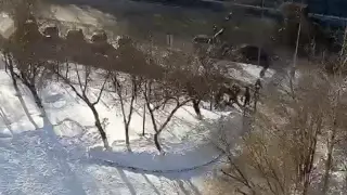 драка в Астане