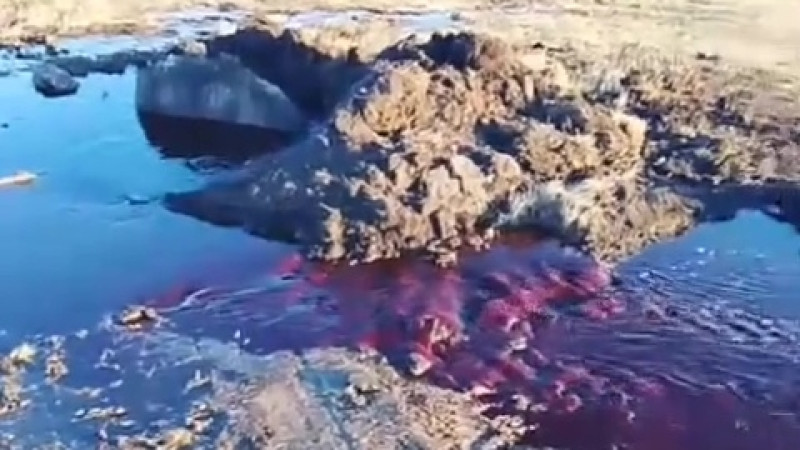 Кадр из видео