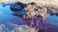 Колодец с кровью шокировал жителей Щучинска