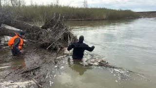 Искали три недели - тело 10-летнего ребенка нашли в Актюбинской области