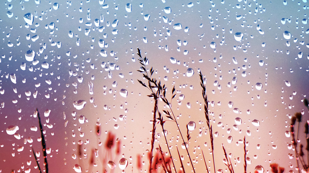 Дожди на юге, усиление ветра на севере: какой будет погода в Казахстане в субботу