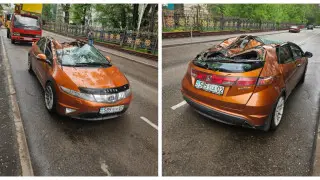 Дерево рухнуло на автомобиль на улице в Алматы