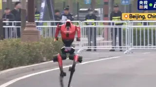 Роботы впервые обогнали людей на полумарафоне в Пекине