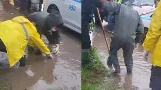 Мужчина утонул в арыке во время затяжных дождей в Алматы