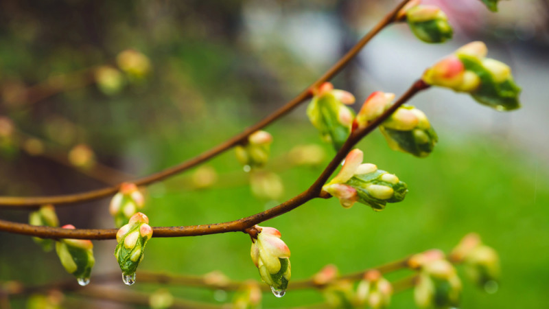 Фото:depositphotos.com