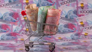 Досрочное снятие пенсионных - в Нацбанке озвучили свою позицию по порогам достаточности