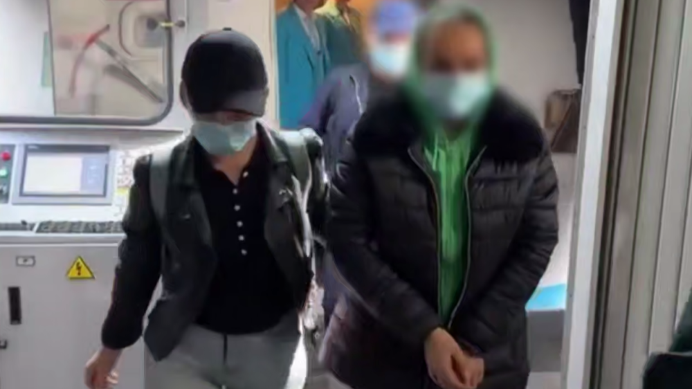 Греция выдала Казахстану бухгалтера, пропавшую с крупной суммой в долларах