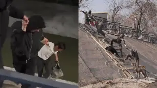 Алматинцы повторили трюк спасения собаки, которому посвятили памятник