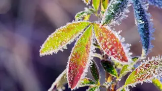 Поворот в деле Жанабыловых, новые тенге и заморозки. Главные новости за 24 апреля