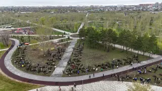 12 тысяч новых деревьев: Костанай продолжает экологическое обновление