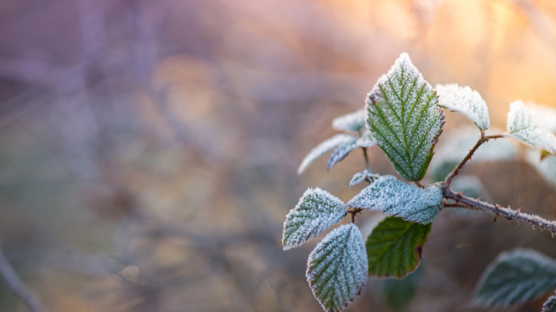 Фото:depositphotos.com