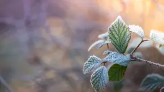Заморозки, град: штормовые предупреждения объявили в Астане и регионах