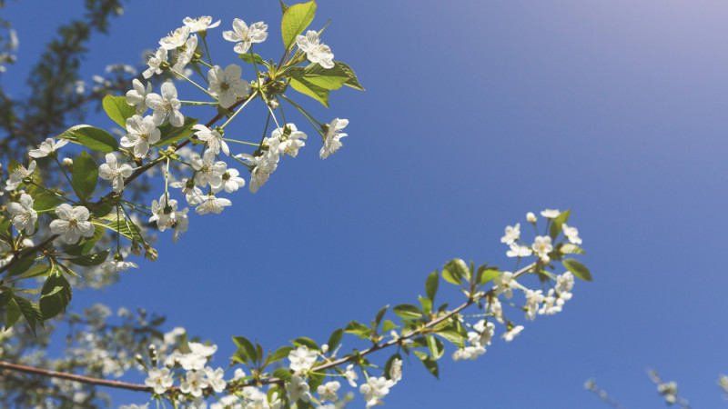 Фото:depositphotos.com