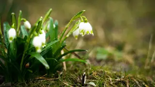 Заморозки и сильные дожди накроют Казахстан