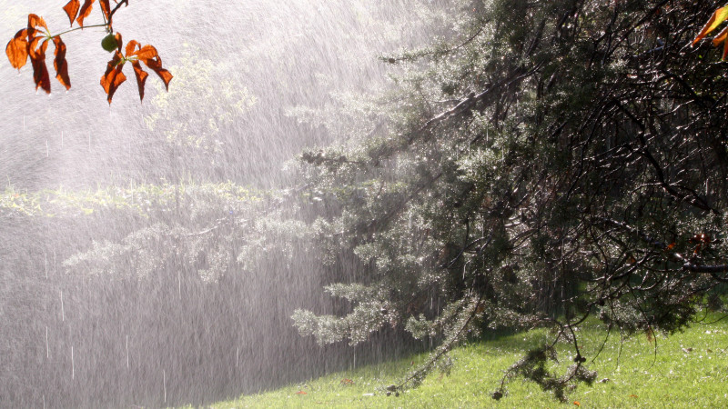 Фото:depositphotos.com