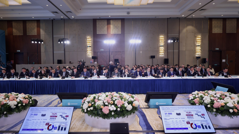 Фото: пресс-служба партии Amanat