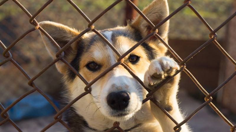 Фото:depositphotos.com