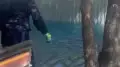 “Окрашивание“ воды в фонтане возмутило алматинцев - акимат объяснил, что происходит