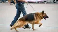 Уехал на работу в Алматы и пропал: 21-летнего костанайца нашли живым